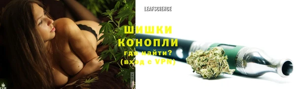 ALPHA PVP Белокуриха